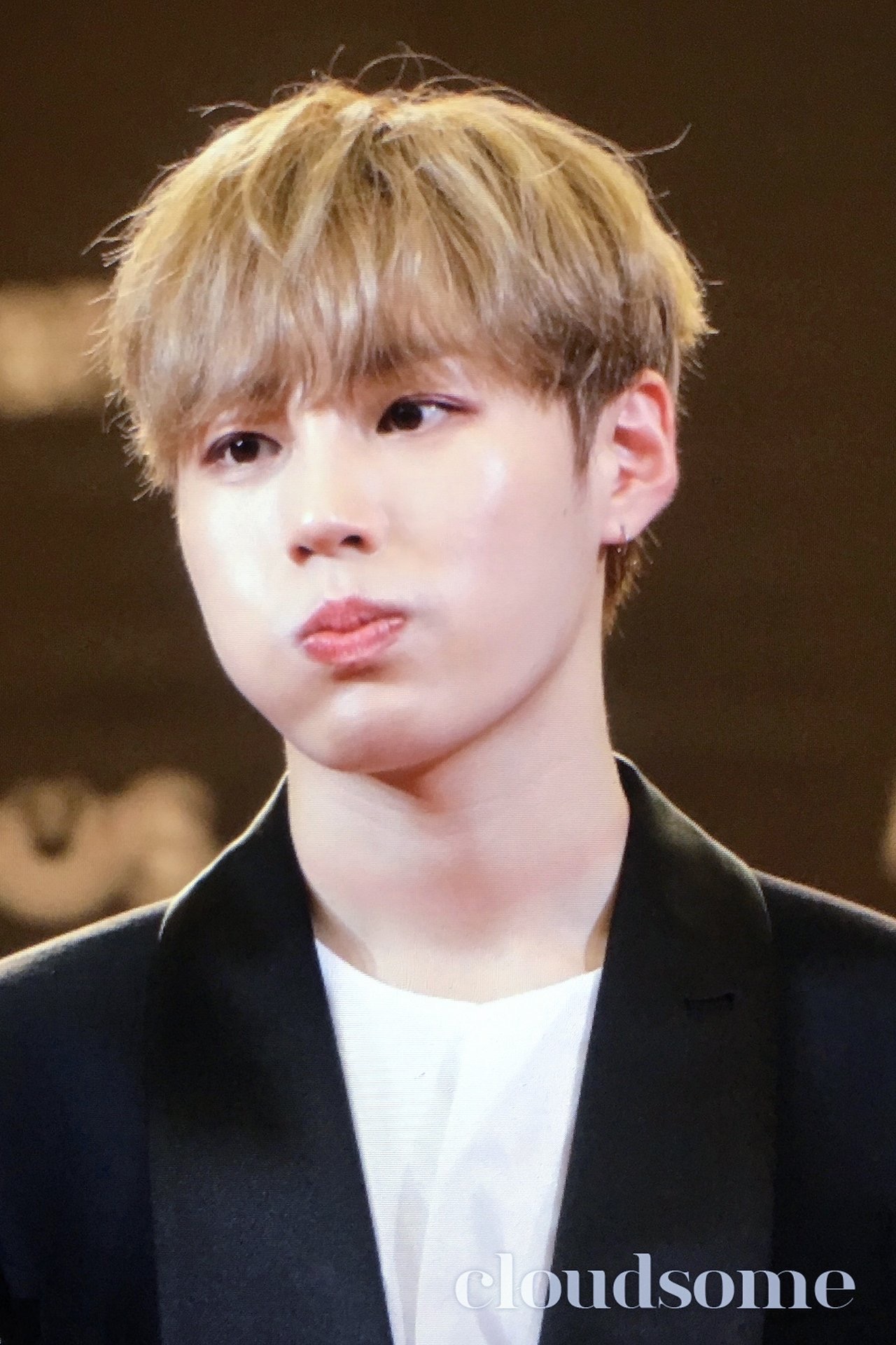 내 기준 울 성운 고양이상인데 가끔 엄청 강아지 같을 때가 있어 | 인스티즈