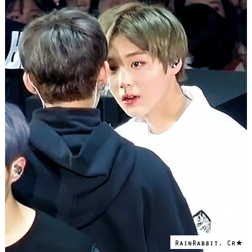 ㄱ 윙참하는 이유는 박지후니 | 인스티즈