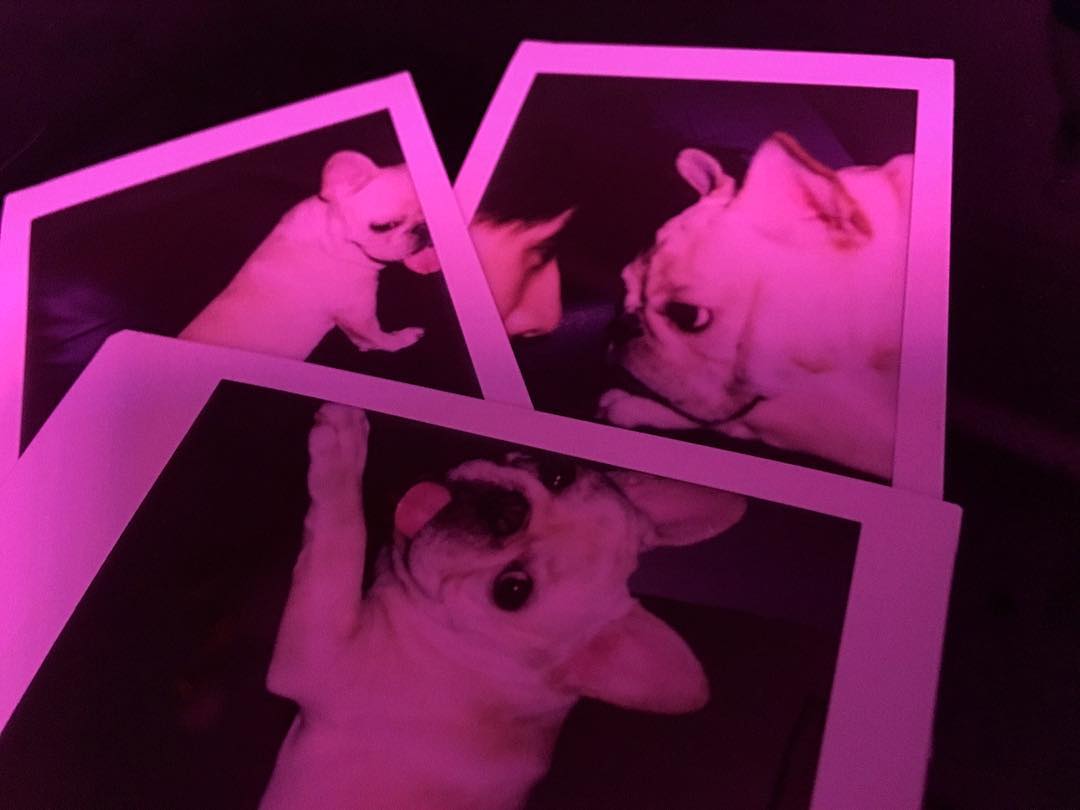 ㄹㅊ 내 오늘의 최애 | 인스티즈