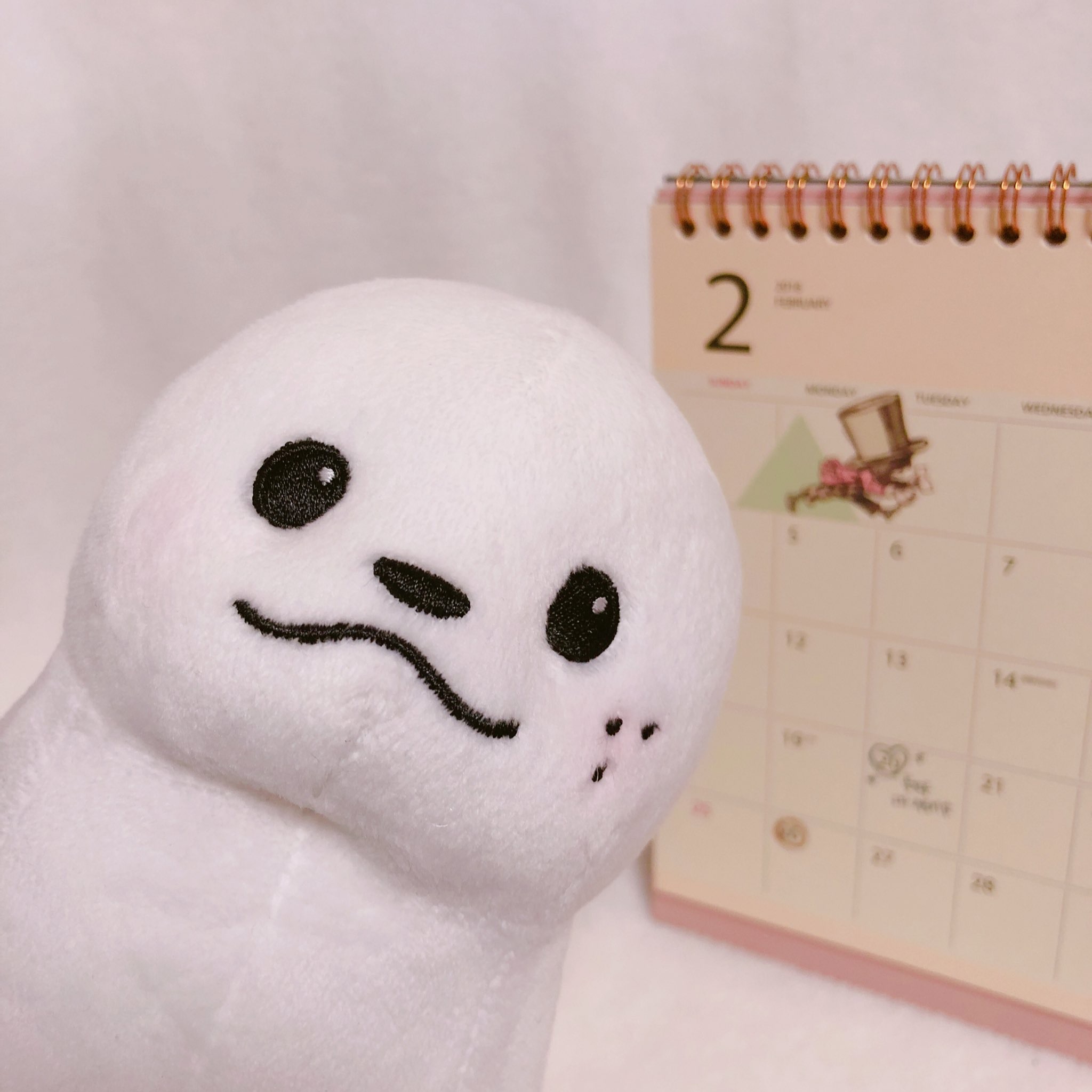 뜬금인데 옹성우 엠씨 서폿 쿠키 진짜 귀여우니까 한 번 봐주라 | 인스티즈