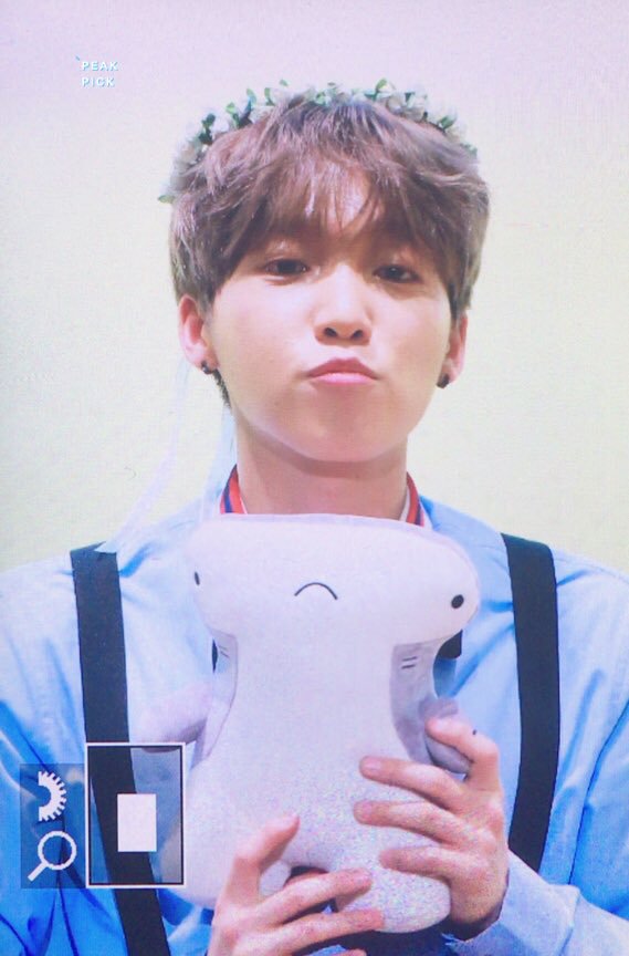 정세운이 인형을 따라하는 과정 | 인스티즈