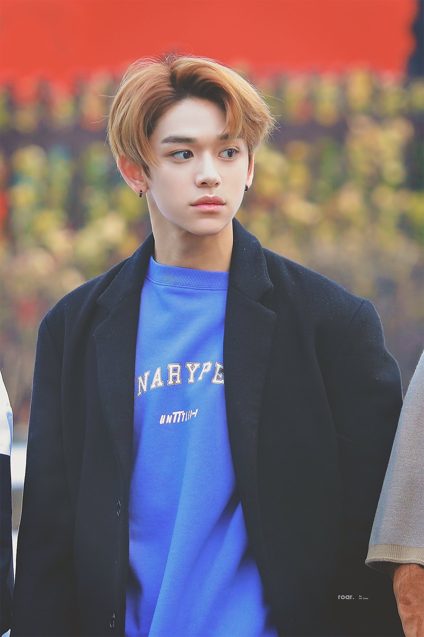 루카스 보고 가 | 인스티즈