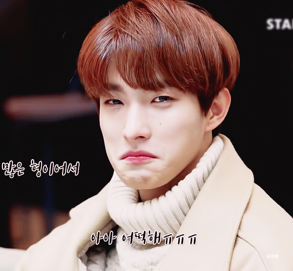 세븐틴 도겸이 얼마나 울고싶을 정도로 다정하냐면 | 인스티즈