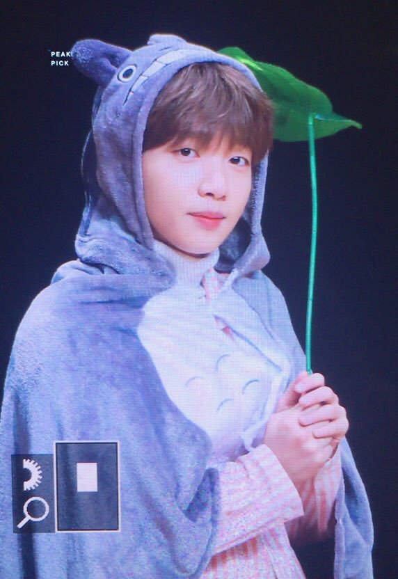 SM상, JYP상, YG상을 이을 '지브리상' | 인스티즈