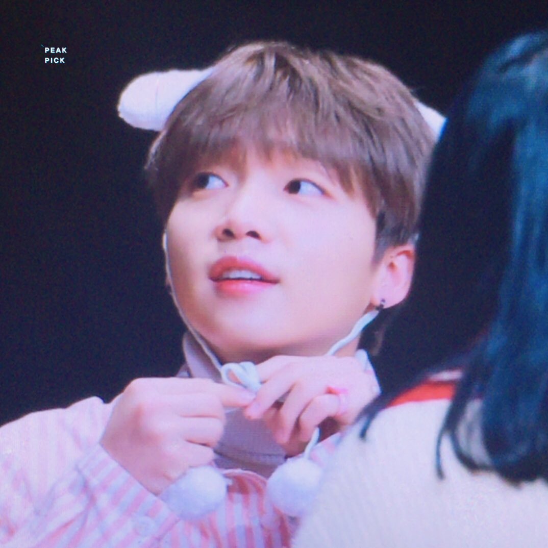 정세운 못하는거 | 인스티즈