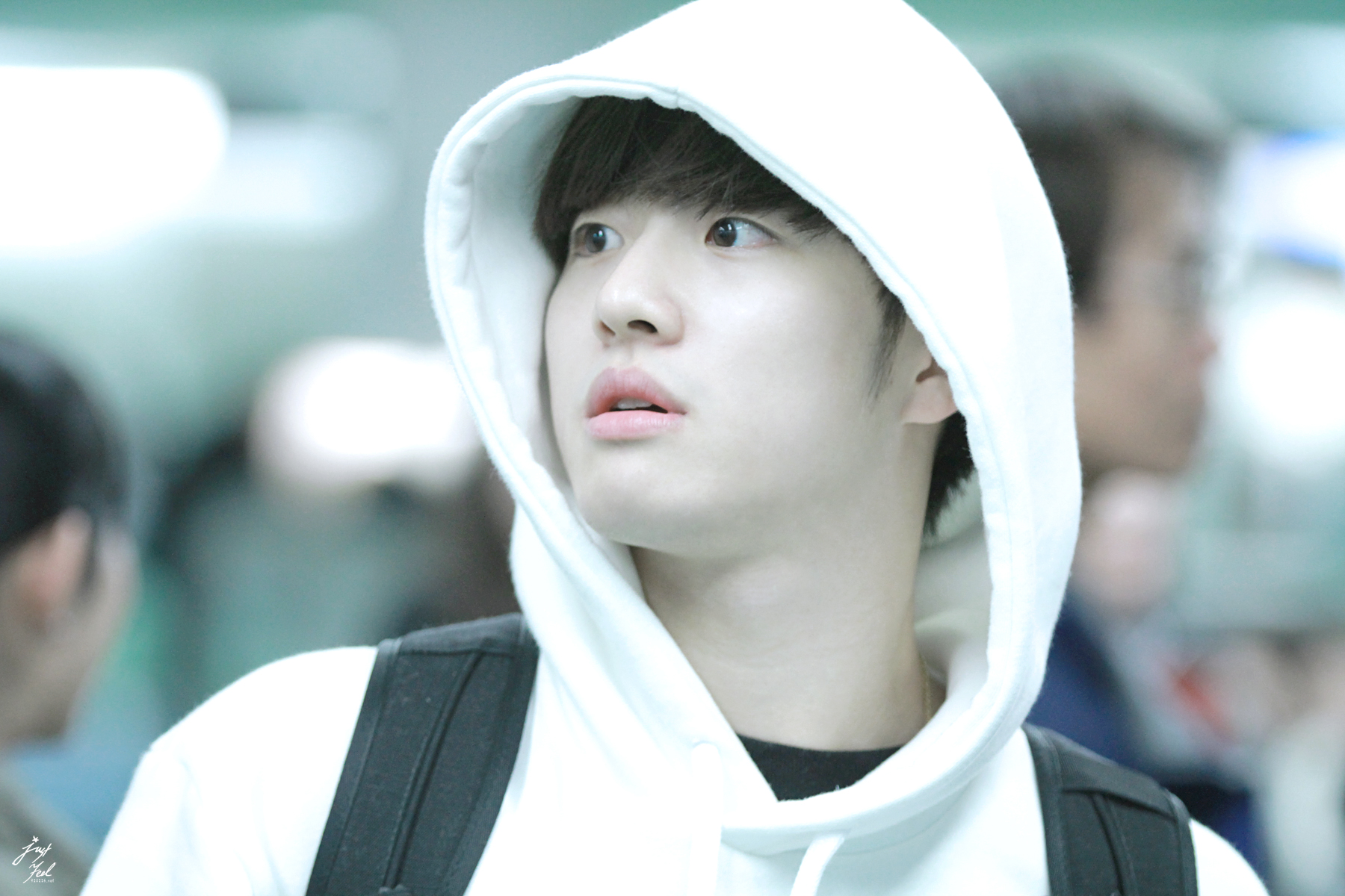 나 완전 치였어...어케 진짜 얼굴 내취향이다ㅠㅠㅠㅠㅠ | 인스티즈