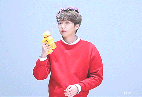 무해한 아이돌 누구?? | 인스티즈