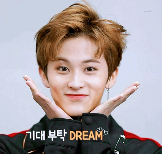 윙크 못하는 애옹이 | 인스티즈