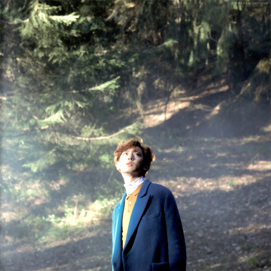 나두 엑소 팬아저 올릴래 (ㅅㅇㅈㅇ) | 인스티즈