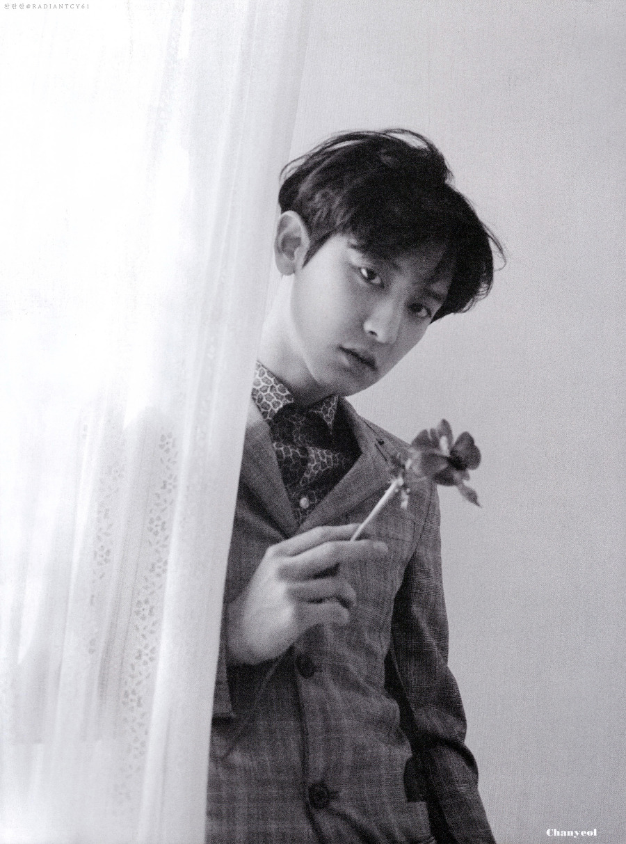 나두 엑소 팬아저 올릴래 (ㅅㅇㅈㅇ) | 인스티즈