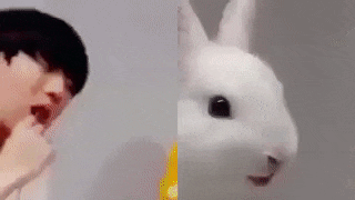 ㄹㅊ 두명 유닛가즈아 | 인스티즈