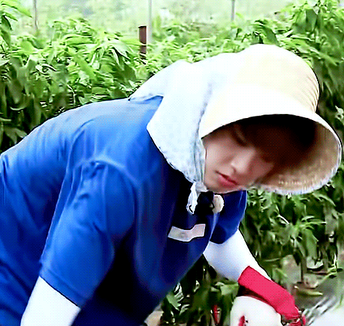 박우진은 파랑이 찰떡이야 | 인스티즈