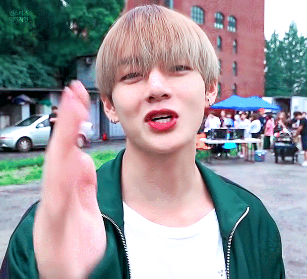 ㄹㅊ 1고양이2강아지 | 인스티즈