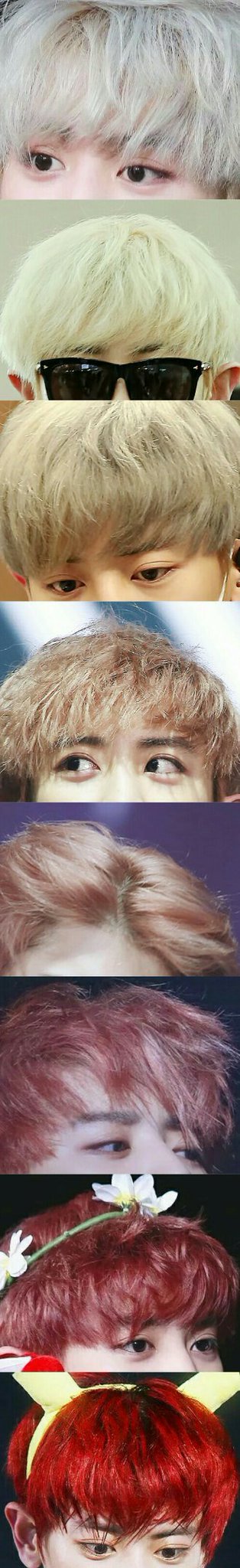 열매가_익어가는_과정.jpg | 인스티즈