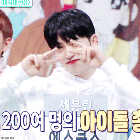 ㄹㅊ 5장 내 최애는? | 인스티즈