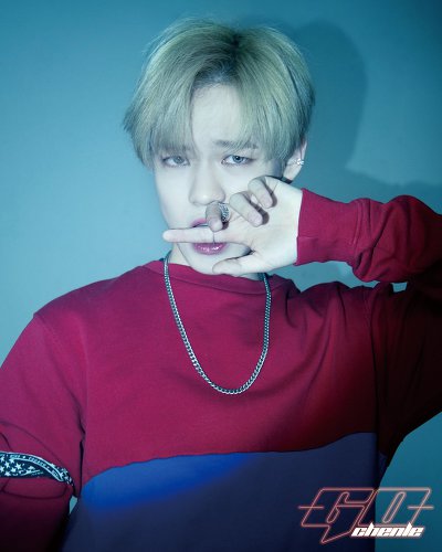 내 최애 스무고개+랜첨으로 찾아줘 | 인스티즈