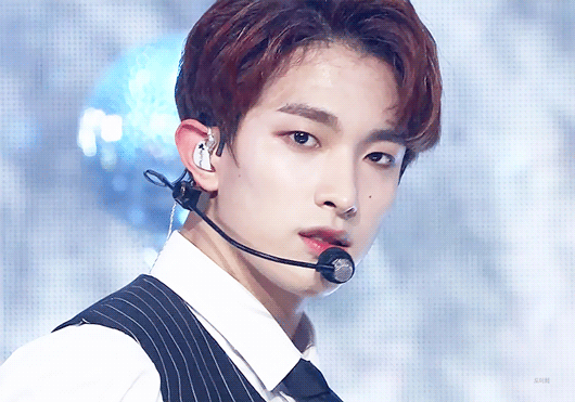 ㄹㅊ 내새꾸들 사랑해 | 인스티즈