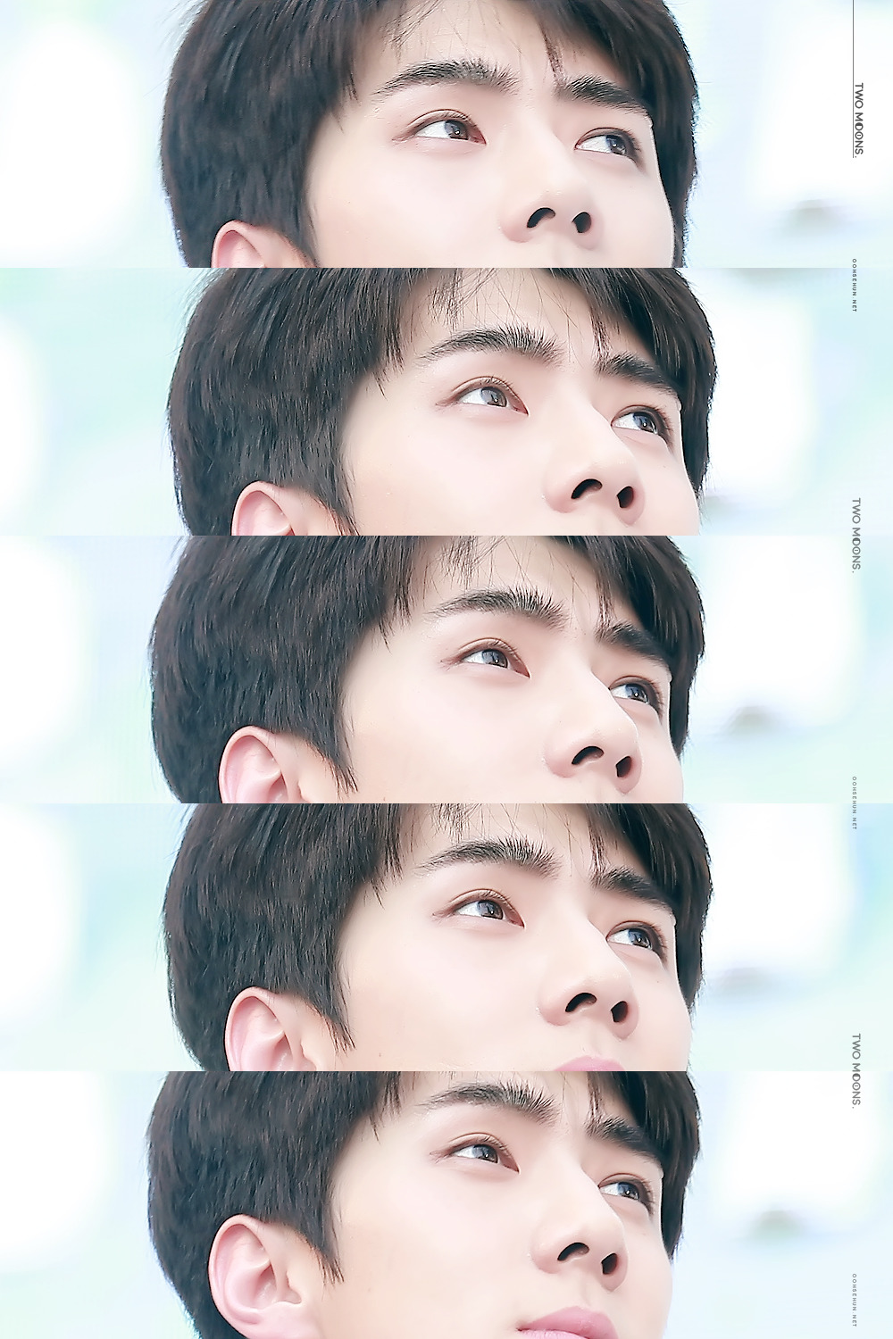 세후니야 | 인스티즈