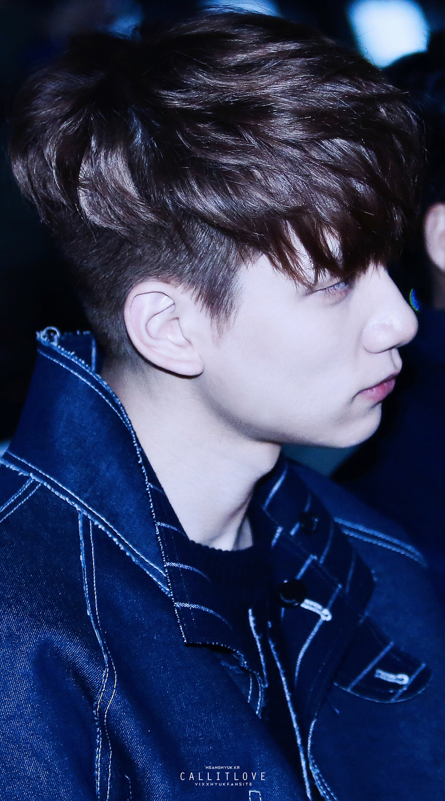 🌟🌟🌟🌟빅스시🌟🌟🌟🌟 | 인스티즈