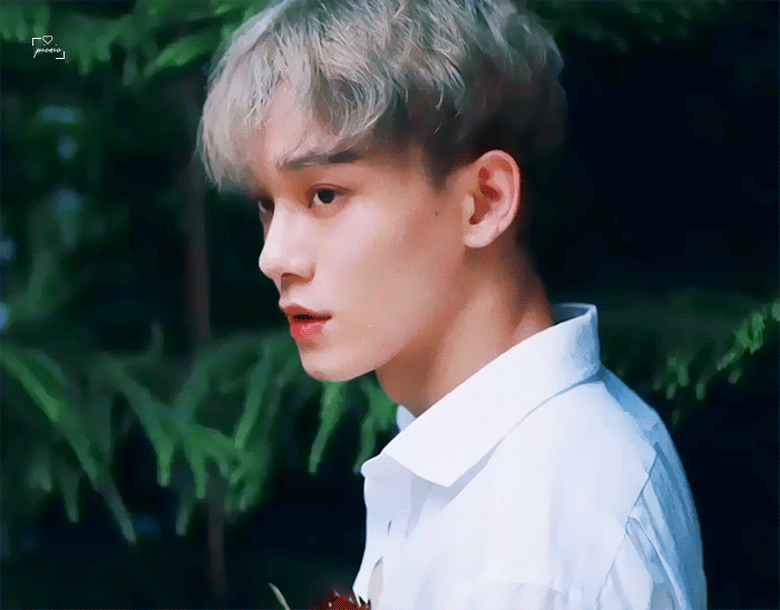 내 취향 소나무야? | 인스티즈