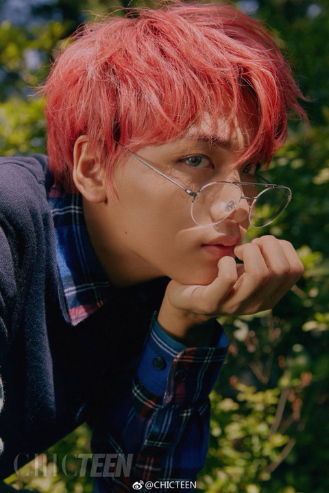 내 취향 소나무야? | 인스티즈