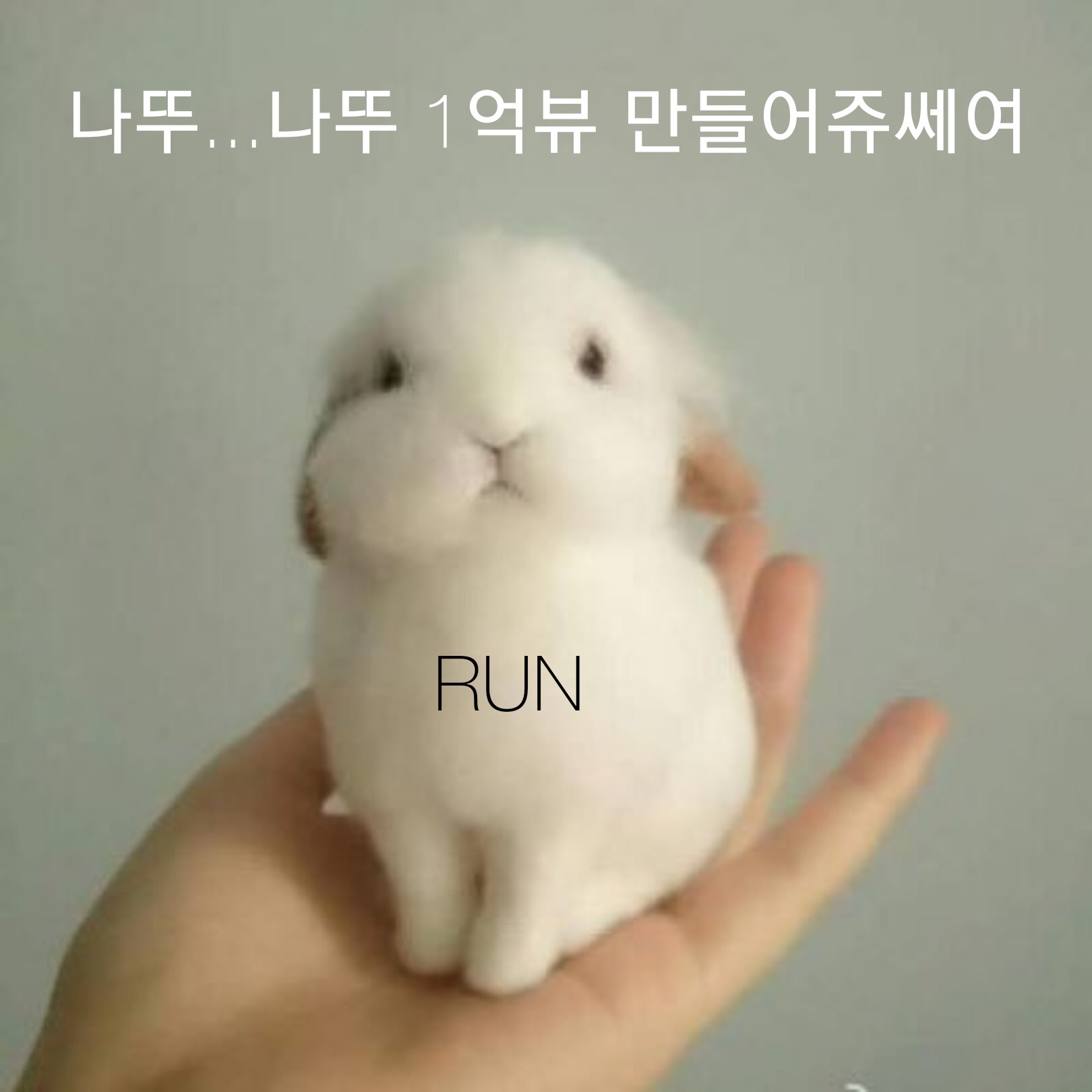 탄들아 울토끼 정국이가 할말있대 | 인스티즈