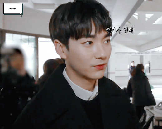 아침을 여는 뉴이스트🐶🐢🐯🦊🐰 | 인스티즈