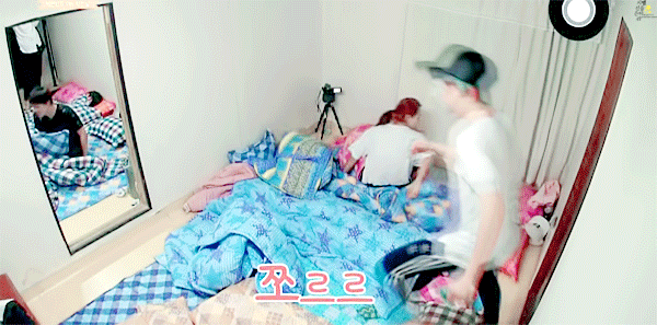 ㄱ 셉 알페스에 관심이 있다면 찬른은 꼭 보셔야 합니다 (움짤 많음 | 인스티즈