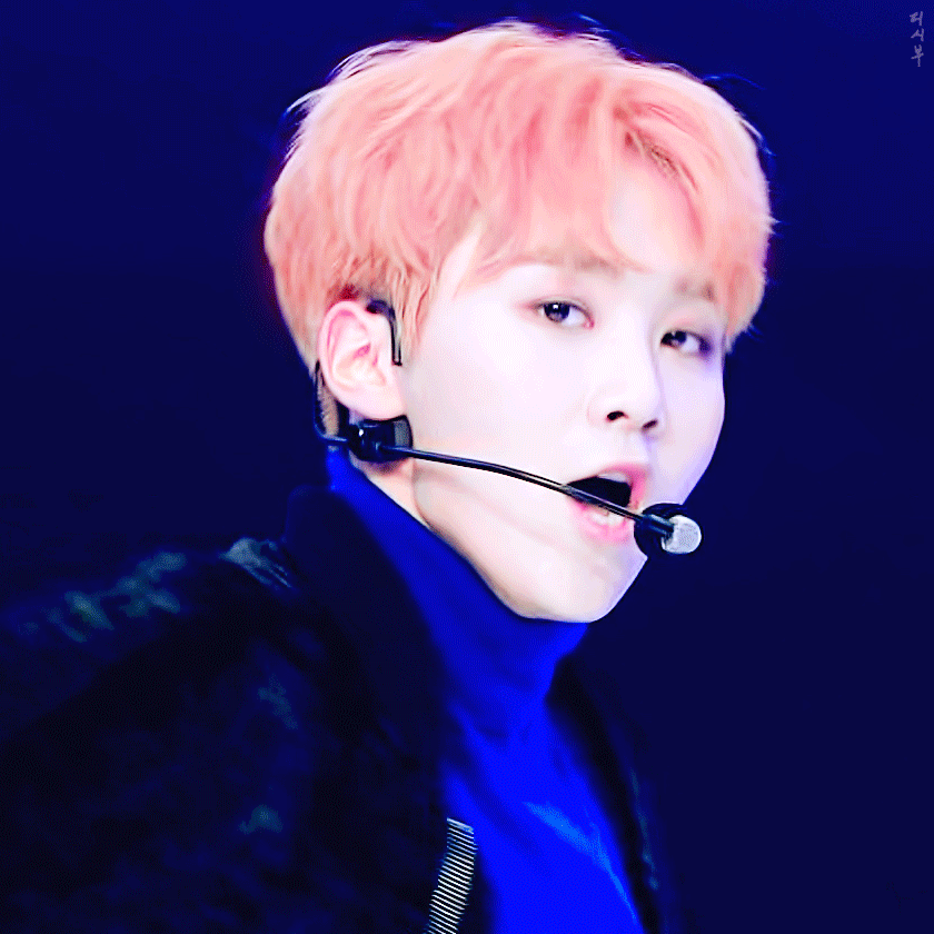 우리 승가니도 핑크머리 짱 잘 어울린다?ㅠㅠ | 인스티즈