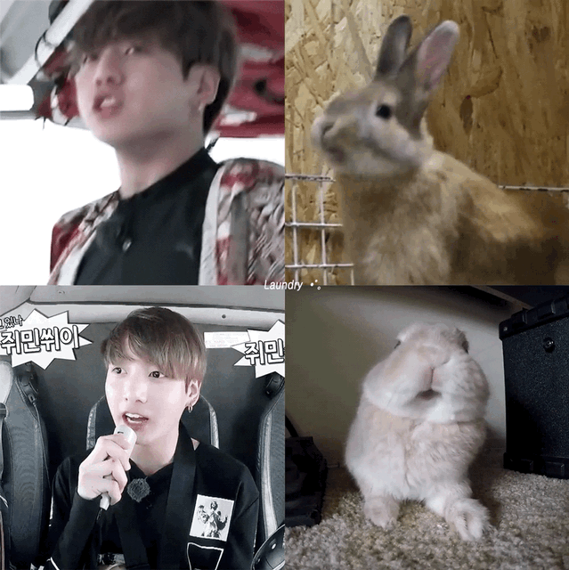 나 방탄 이런짤 너무좋아 몰라 뒤죽박죽인데 여튼 좋아....🌟 | 인스티즈