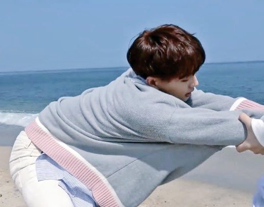 내가 본 고양이 중 가장 하찮음 | 인스티즈