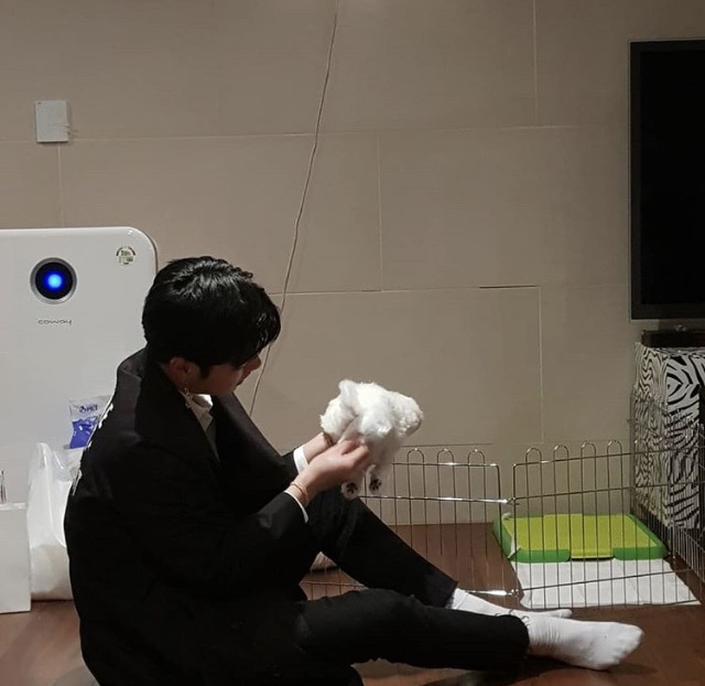 내본 강아지 봐줘ㅎㅎ (심장 부여잡고 들어와..) | 인스티즈