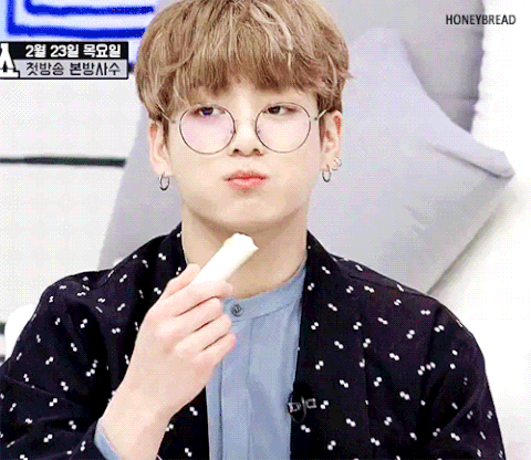 ㄹㅊ 1고양이 2 강아쥐 | 인스티즈