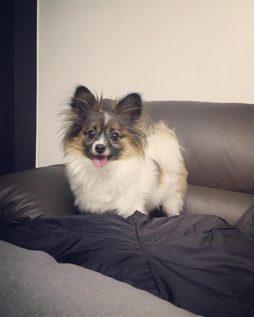 루비가 보고 싶어요 | 인스티즈