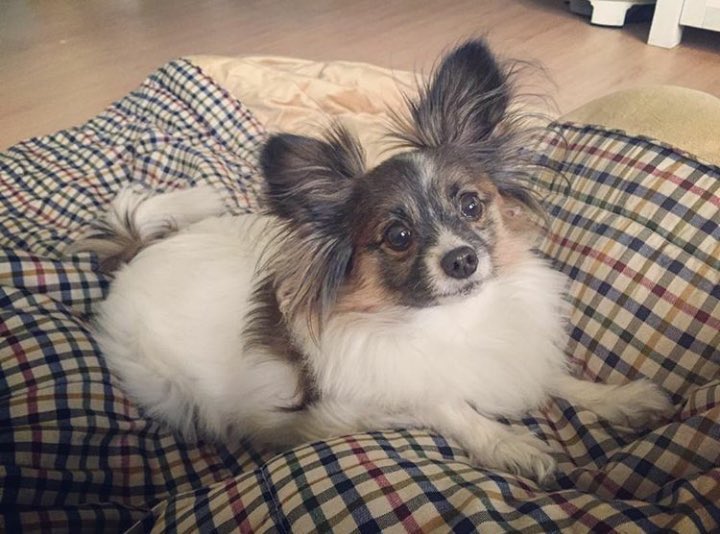 루비가 보고 싶어요 | 인스티즈