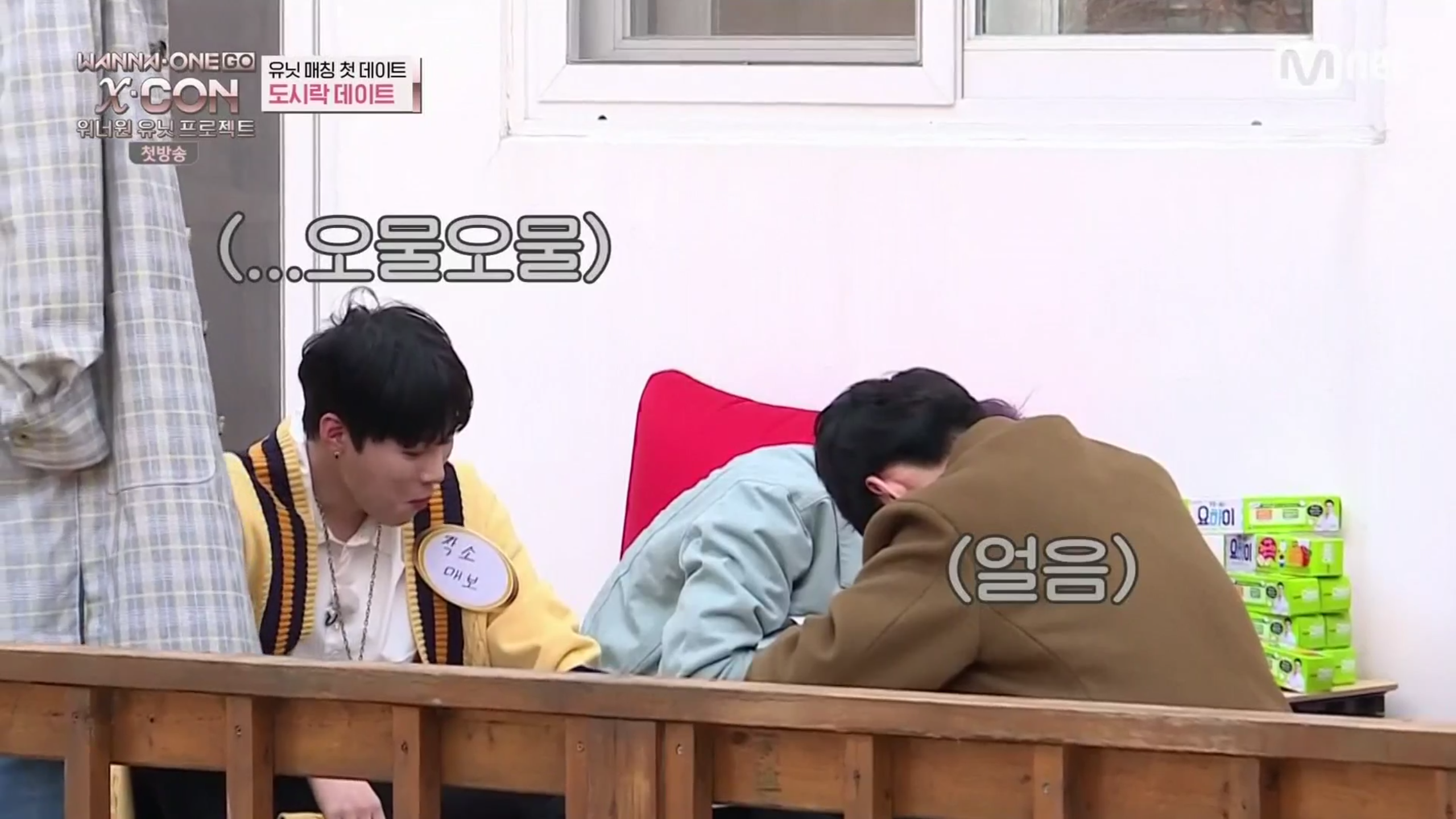 워너원고 보다 겪은 요하이의 습격... | 인스티즈