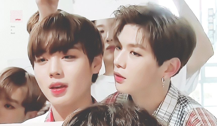 ㄱ 녤윙 내가 미치는 것 중에 하나가 녤이 윙 높이에 맞춰서 숙여주는거야 | 인스티즈