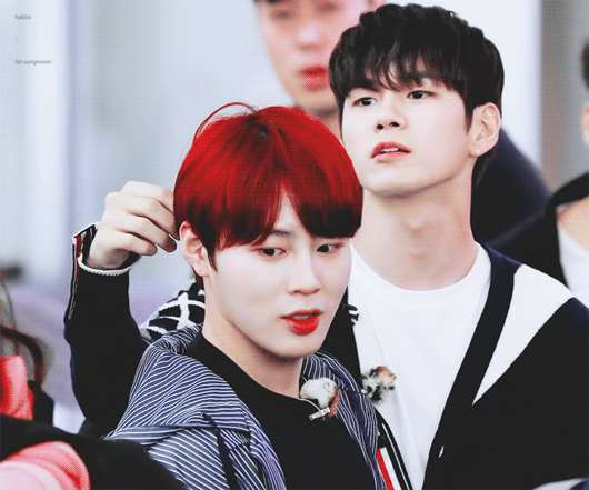 ㄱ 정글로 허니문 떠났다고 말하는 이유 | 인스티즈