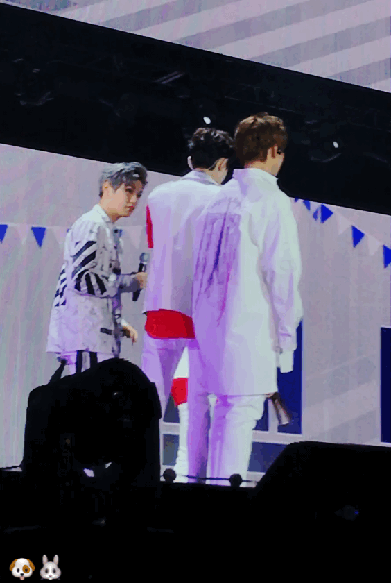 ㄱ 녤윙이 그 정도인가.....? | 인스티즈