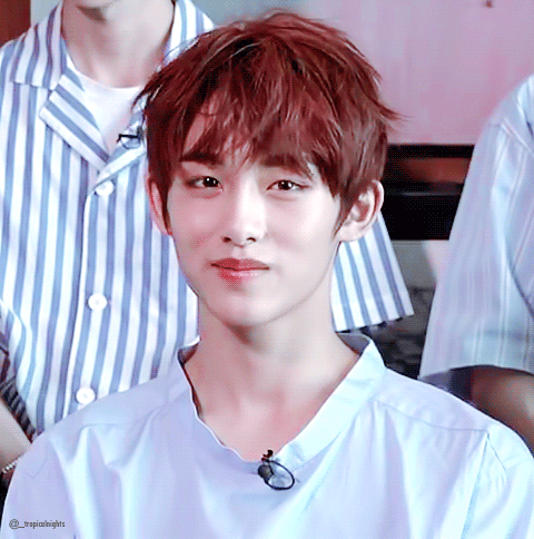 나도 완전소나무 취향하핳.. | 인스티즈