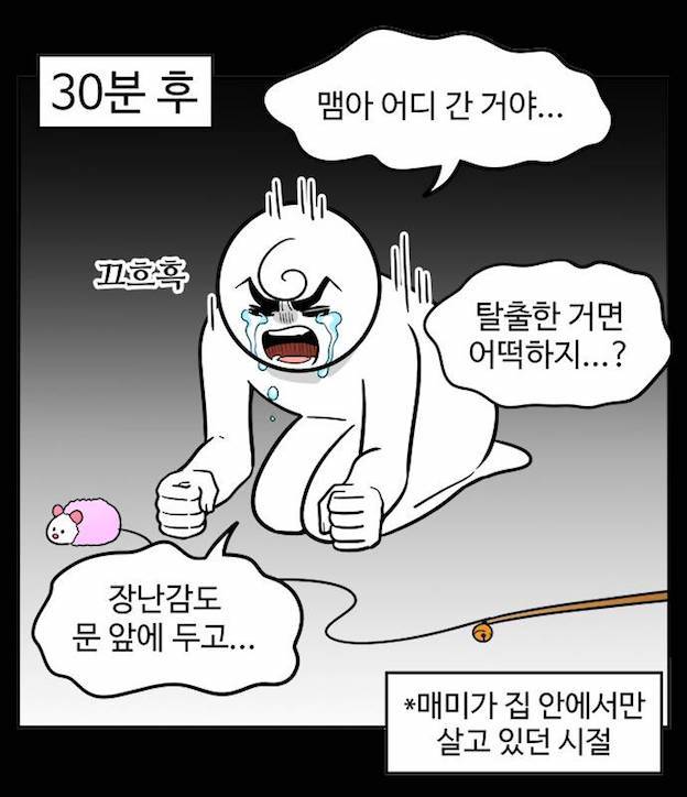 비정상회담) 이거 왜 위아니 생각나지?ㅋㅋㅋㅋ | 인스티즈