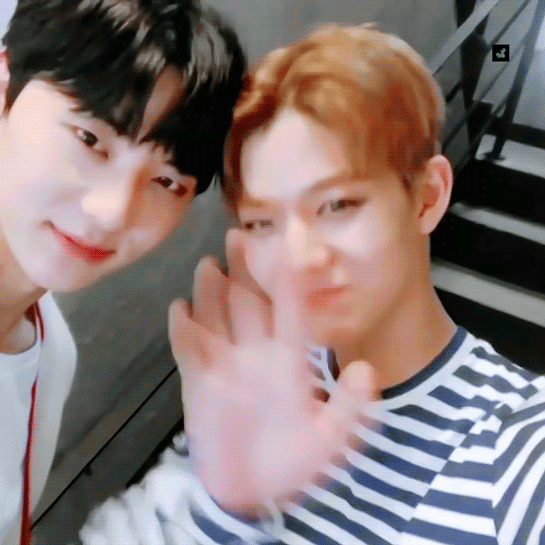 내가 좋아하는 황민현 배진영 | 인스티즈