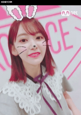 사쿠라 윙크나 보고가자 | 인스티즈