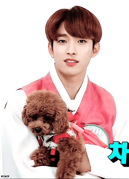 도겸 진짜 완벽하다 어떻게 .. 진짜 아이돌 해주셔서 감사합니다 | 인스티즈