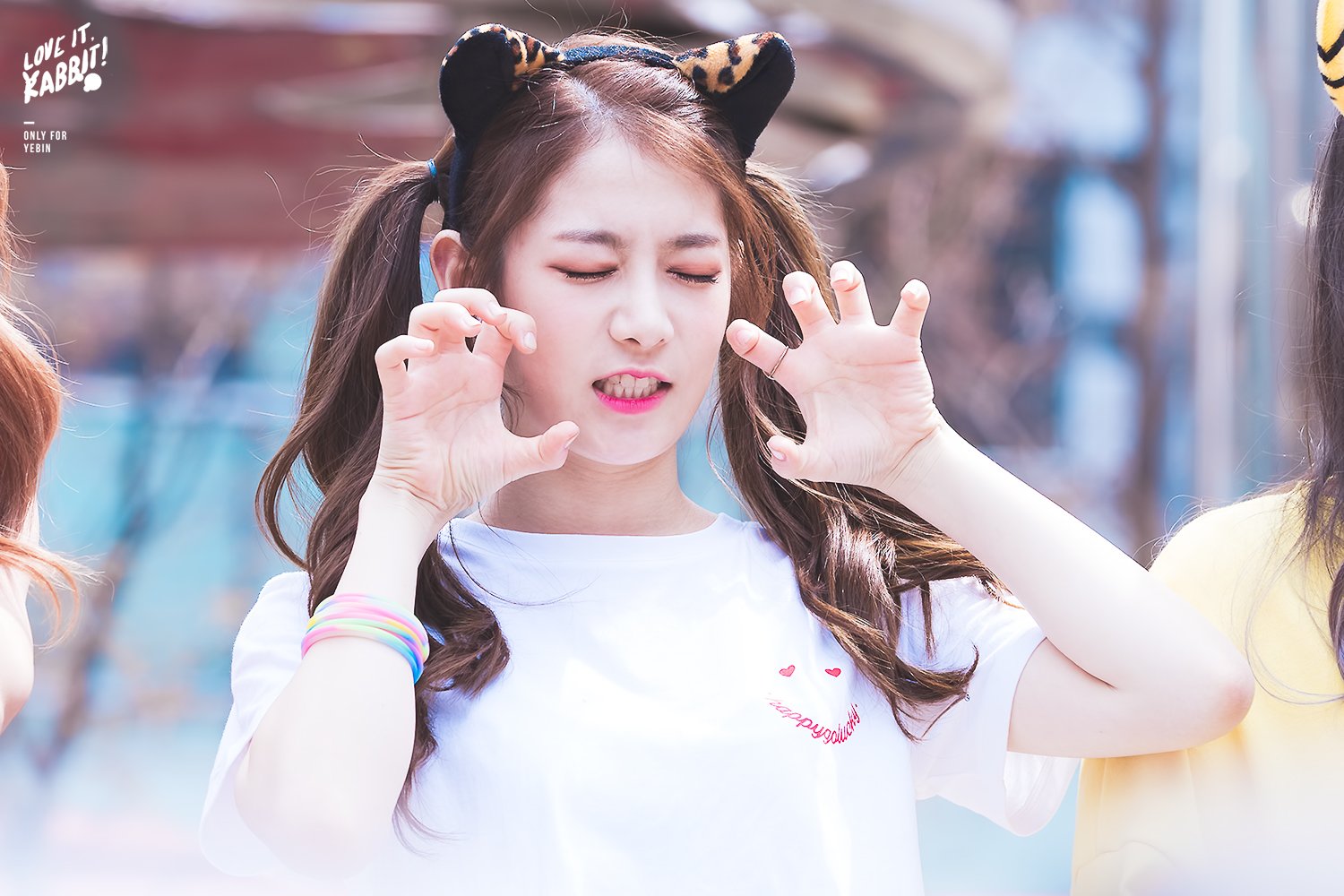 덕심 억지로 재우고 나도 자러 가야지.... 그 전에 ㄹㅊx5하니 여러분 우리애들 얼굴 보고가세요 | 인스티즈