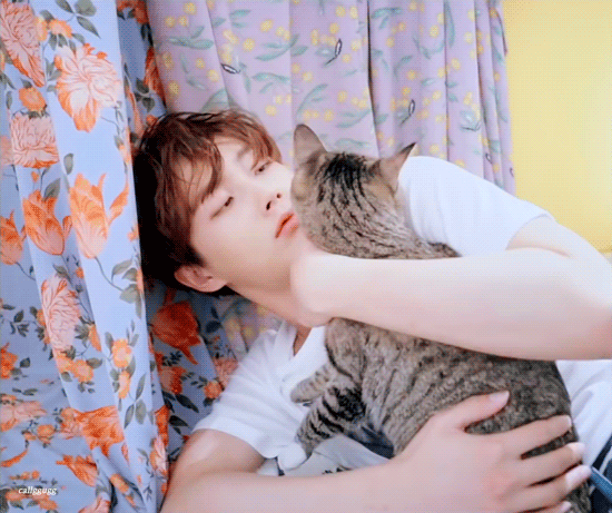 아니... 꽃무늬 커텐이 이렇게까지 잘 어울려도 되는 거냐구... | 인스티즈