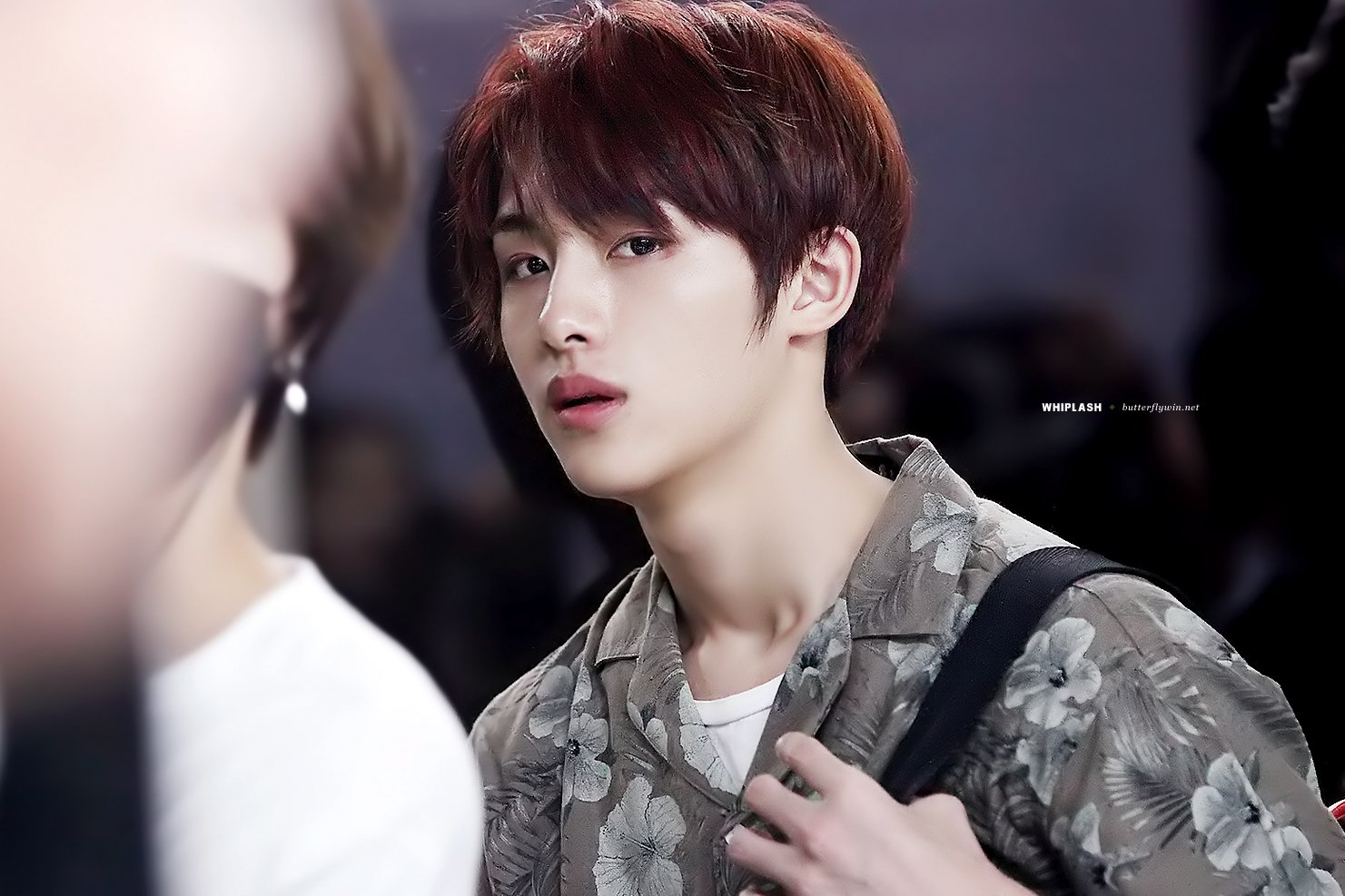 나도 완전소나무 취향하핳.. | 인스티즈