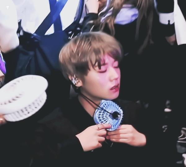 ㄱ 인티 닫힌 동안 날라갔으므로 올려본다 윙왼러들 있나요 | 인스티즈