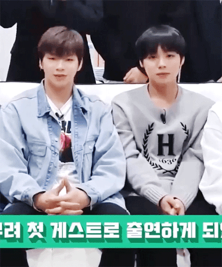 ㄱ 오랜만에 녤톤트럭 짤 꺼낸다 ㅈㅇ녤윙 | 인스티즈