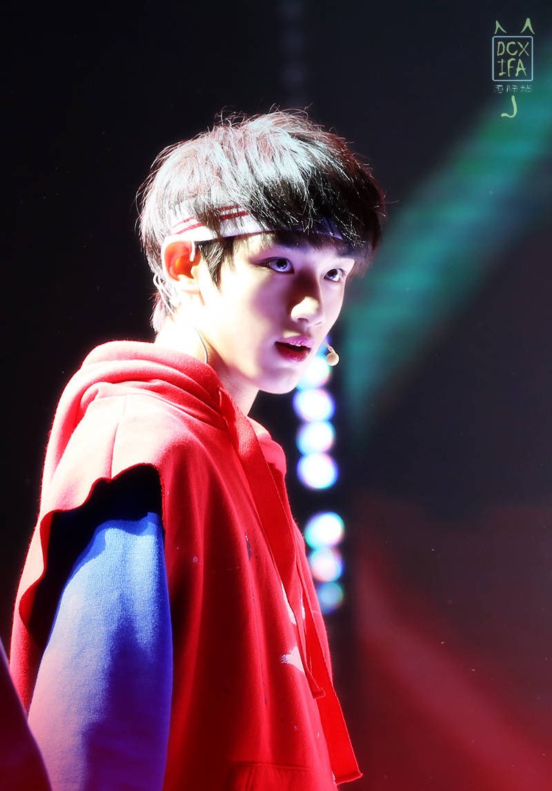 나도 완전소나무 취향하핳.. | 인스티즈